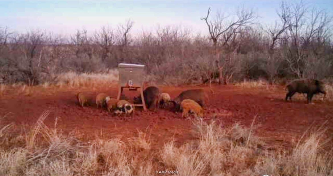 145.35 acres in Haskell County - photo 4