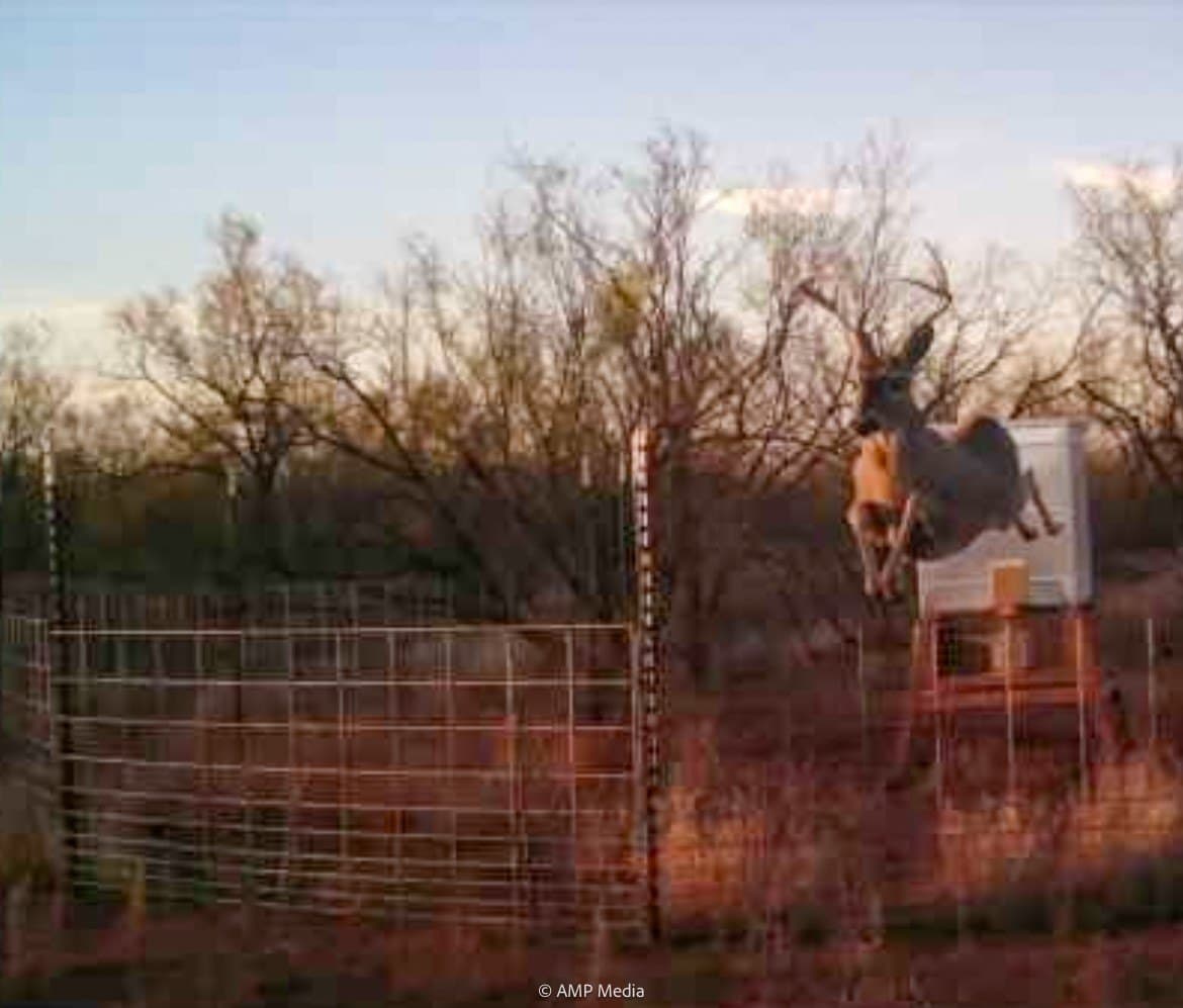 145.35 acres in Haskell County - photo 3