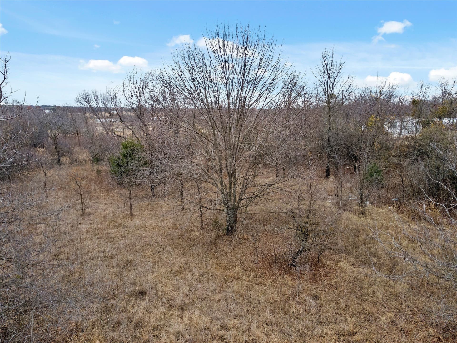 0.26 acres in Wise County - photo 3