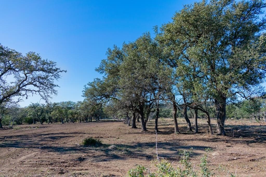 10.04 acres in Blanco County featured view