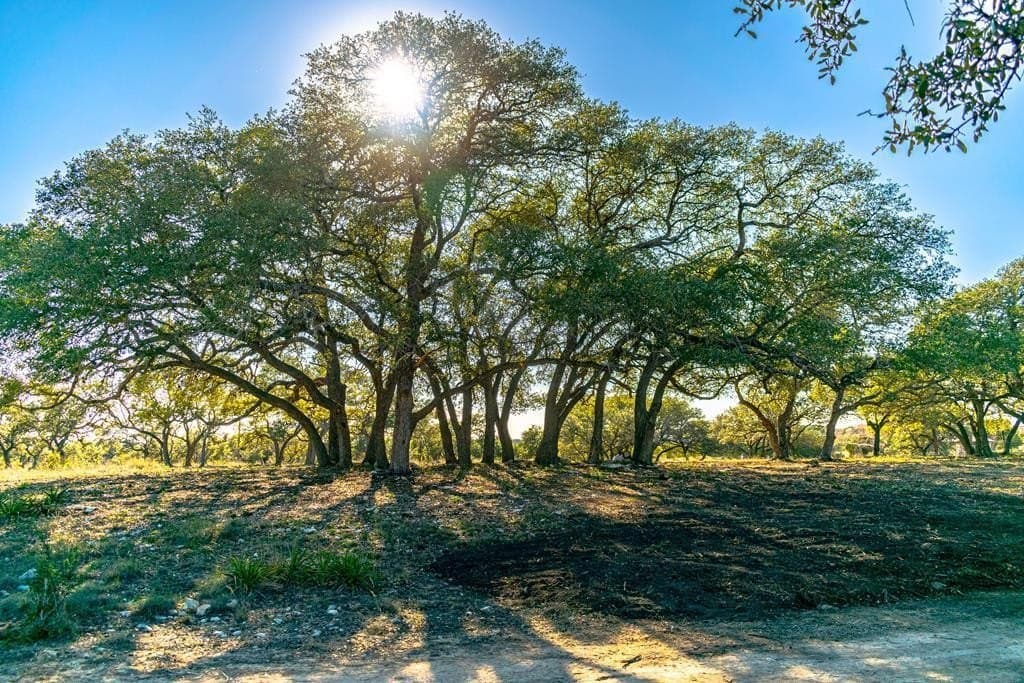 10.04 acres in Blanco County gallery image 2