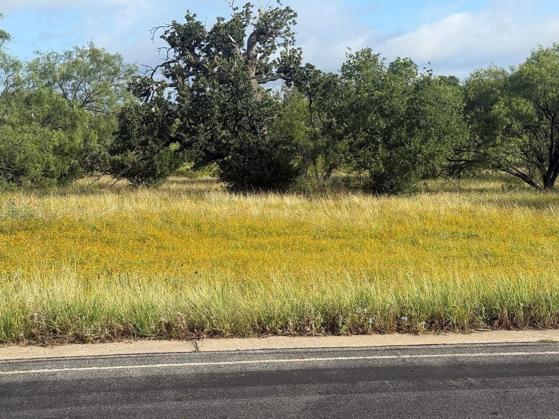 0.12 acres in Llano County gallery image 3
