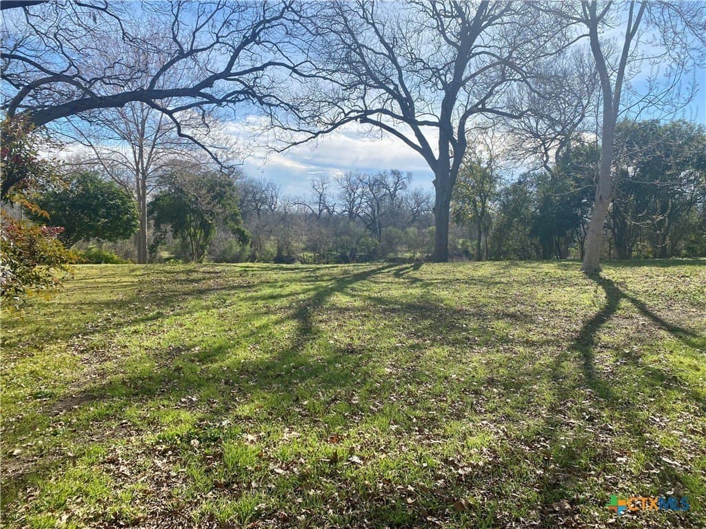 0.32 acres in Guadalupe County gallery image 3