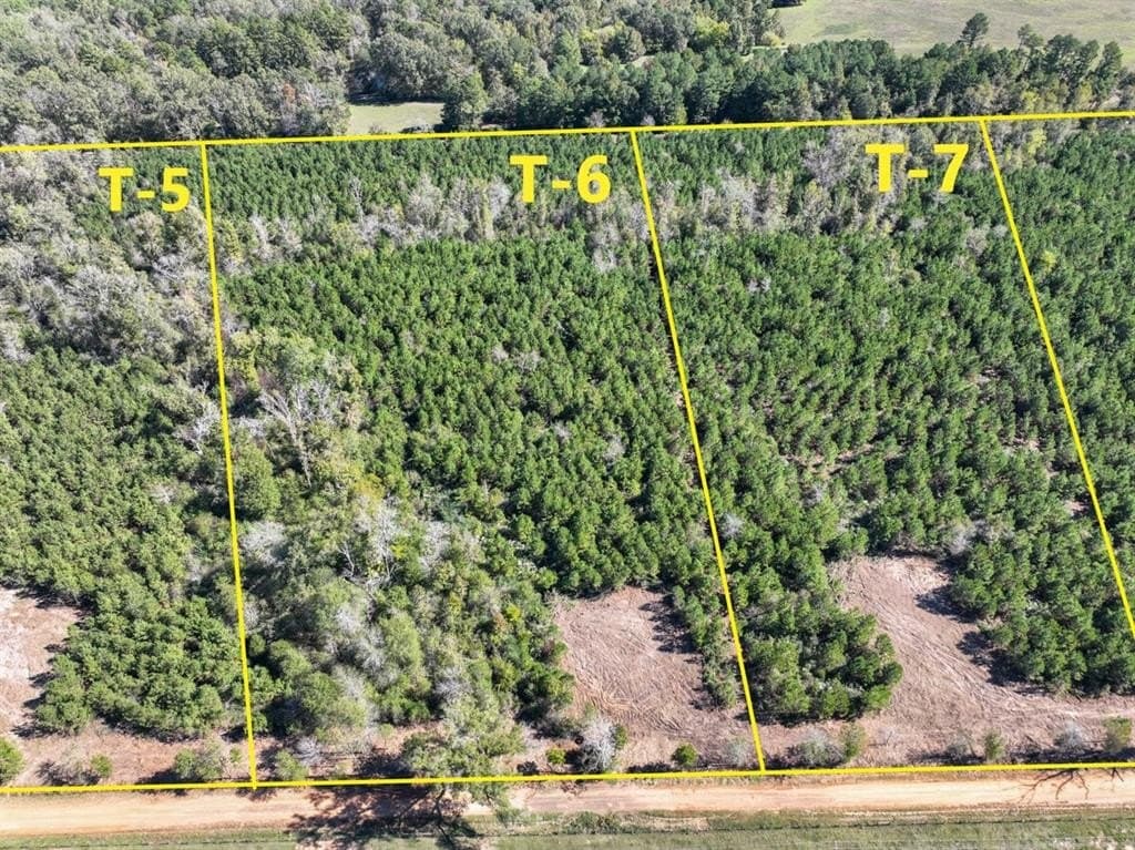 28.57 acres in Panola County gallery image 4