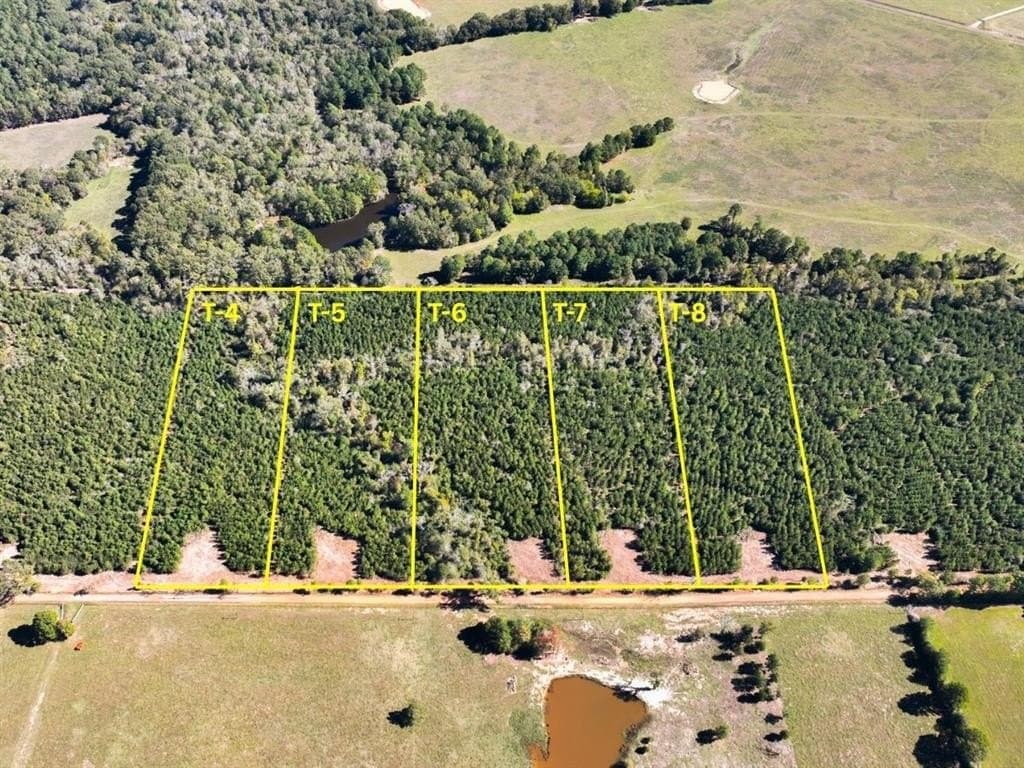 28.57 acres in Panola County gallery image 2
