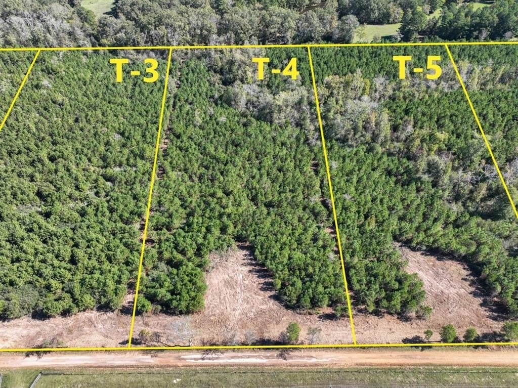 28.57 acres in Panola County gallery image 3