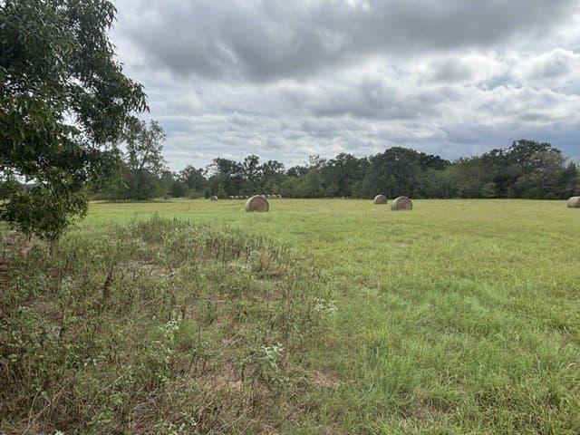 38.44 acres in Henderson County - photo 6