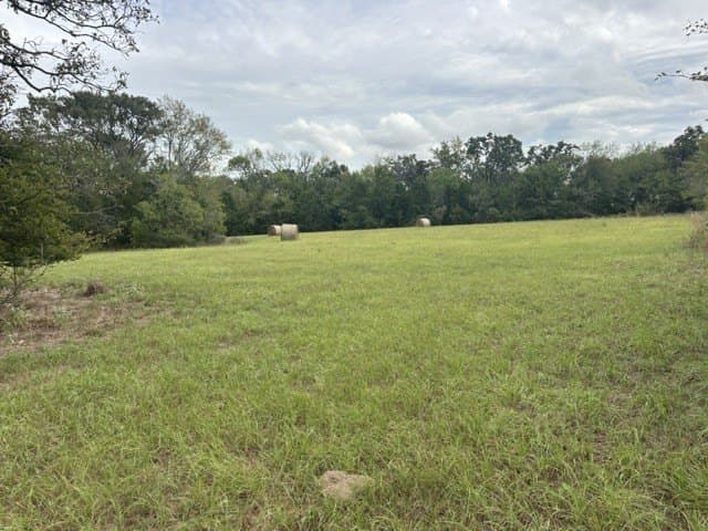 38.44 acres in Henderson County - photo 7