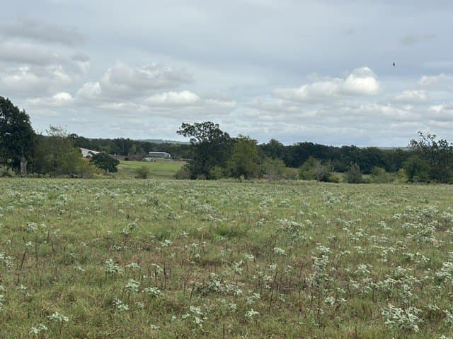 38.44 acres in Henderson County - photo 12