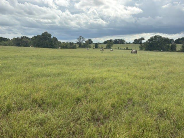 38.44 acres in Henderson County - photo 2
