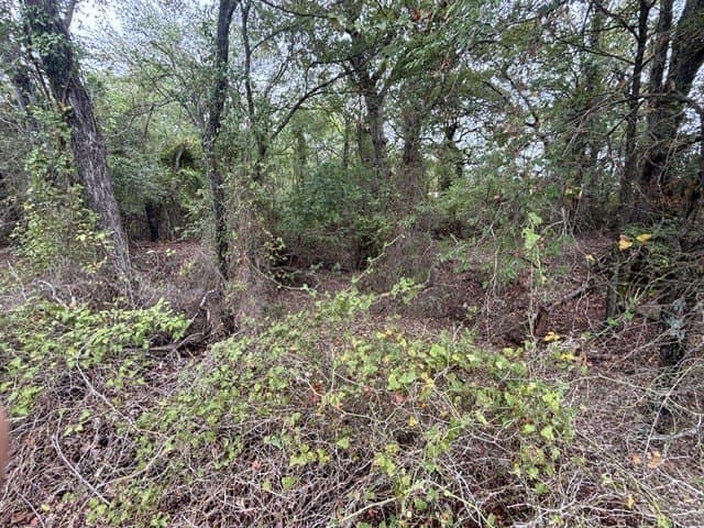 38.44 acres in Henderson County - photo 14