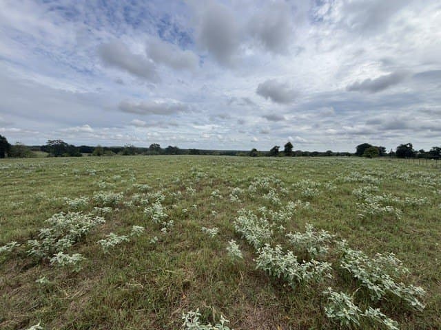 38.44 acres in Henderson County - photo 9