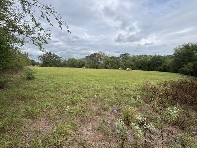 38.44 acres in Henderson County - photo 16