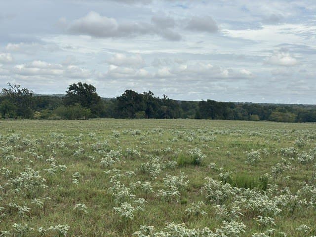 38.44 acres in Henderson County - photo 11