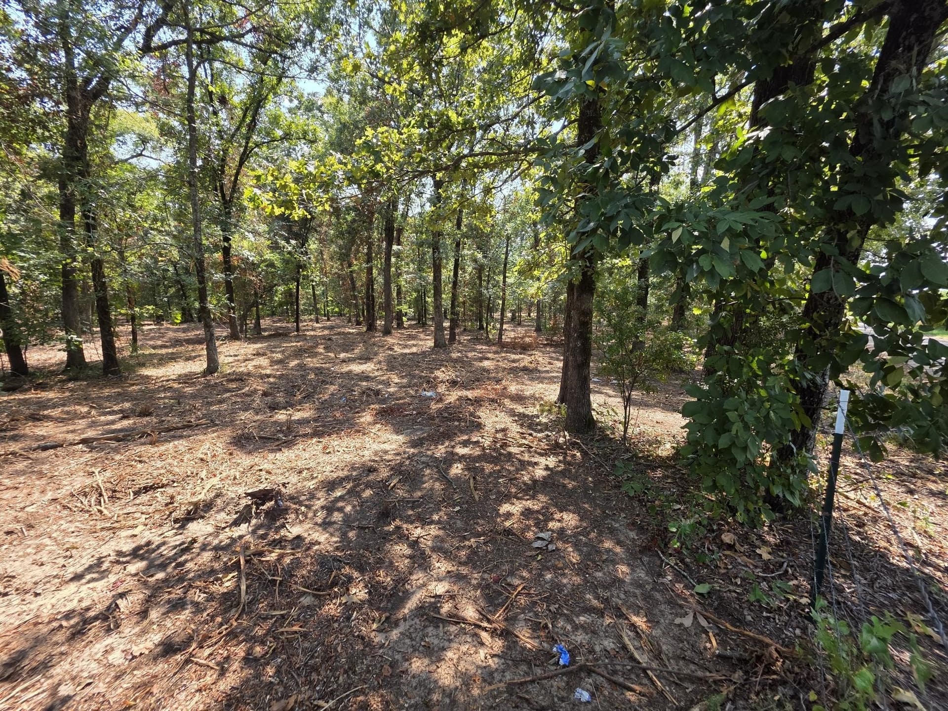 2.01 acres in Titus County gallery image 4