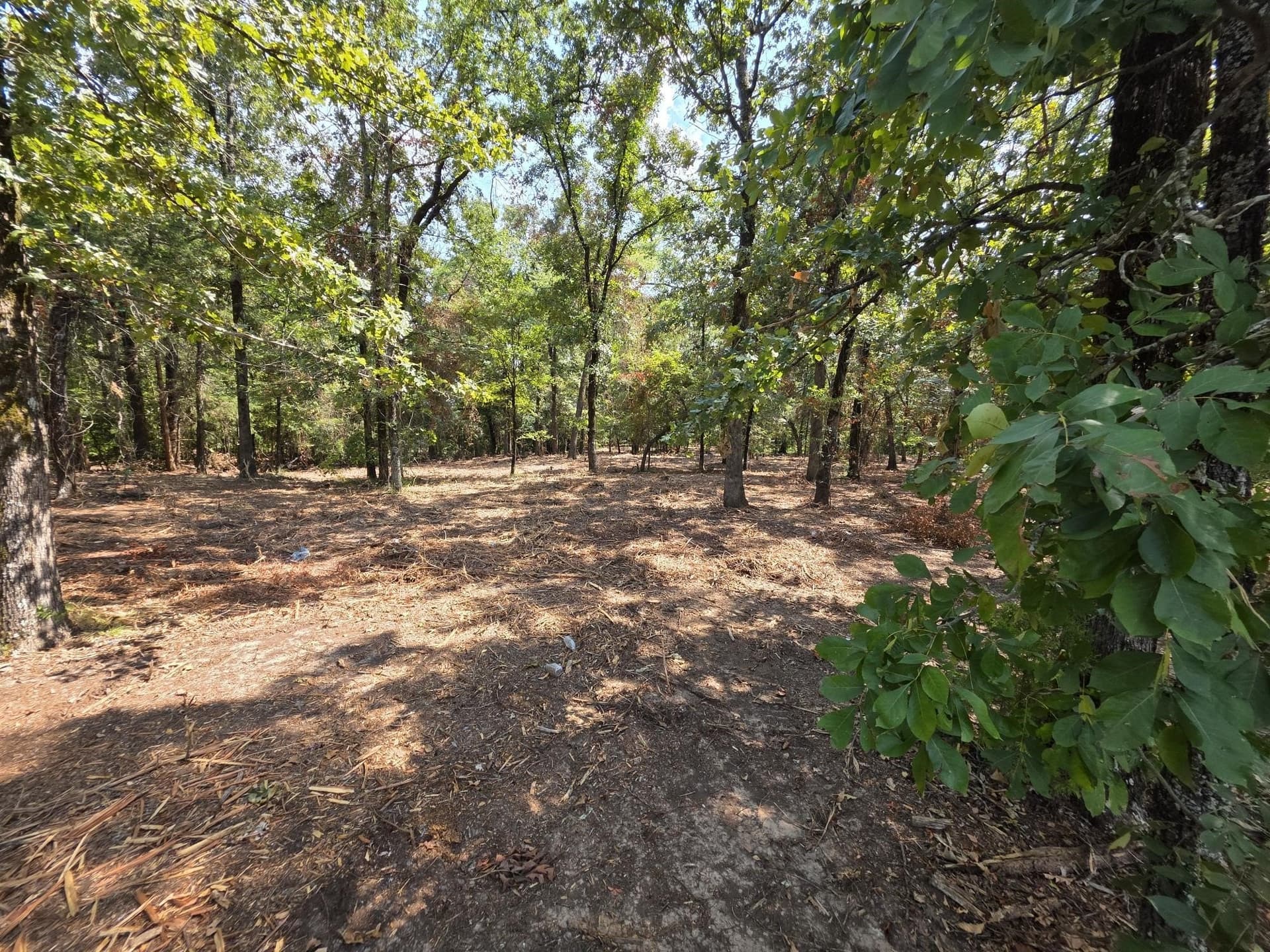 2.01 acres in Titus County featured view