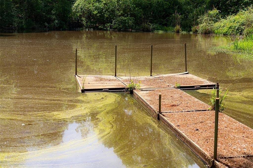 34.06 acres in Anderson County featured view