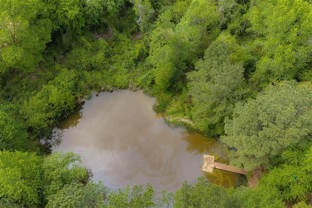 34.06 acres in Anderson County gallery image 4