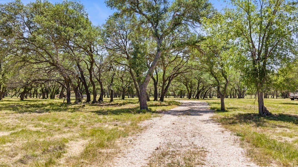 27 acres in Blanco County - photo 21