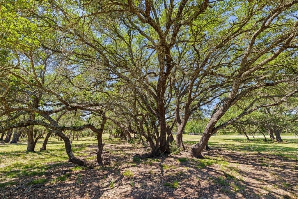27 acres in Blanco County