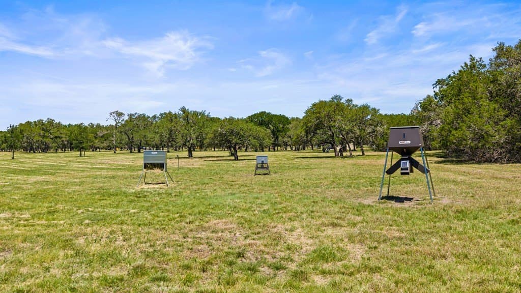 27 acres in Blanco County - photo 23