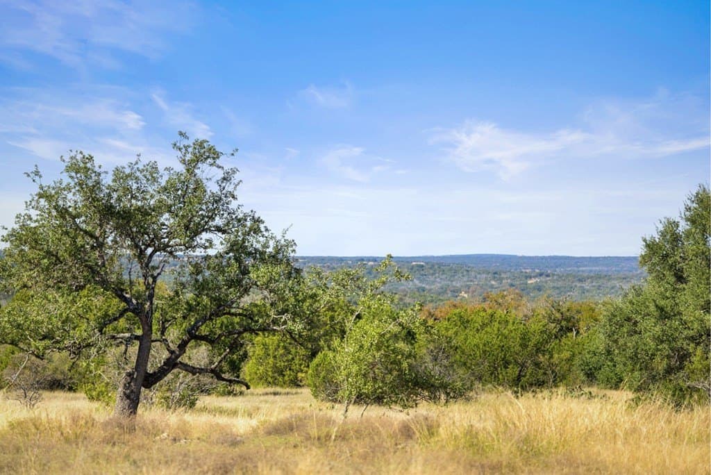 400 acres in Blanco County gallery image 2