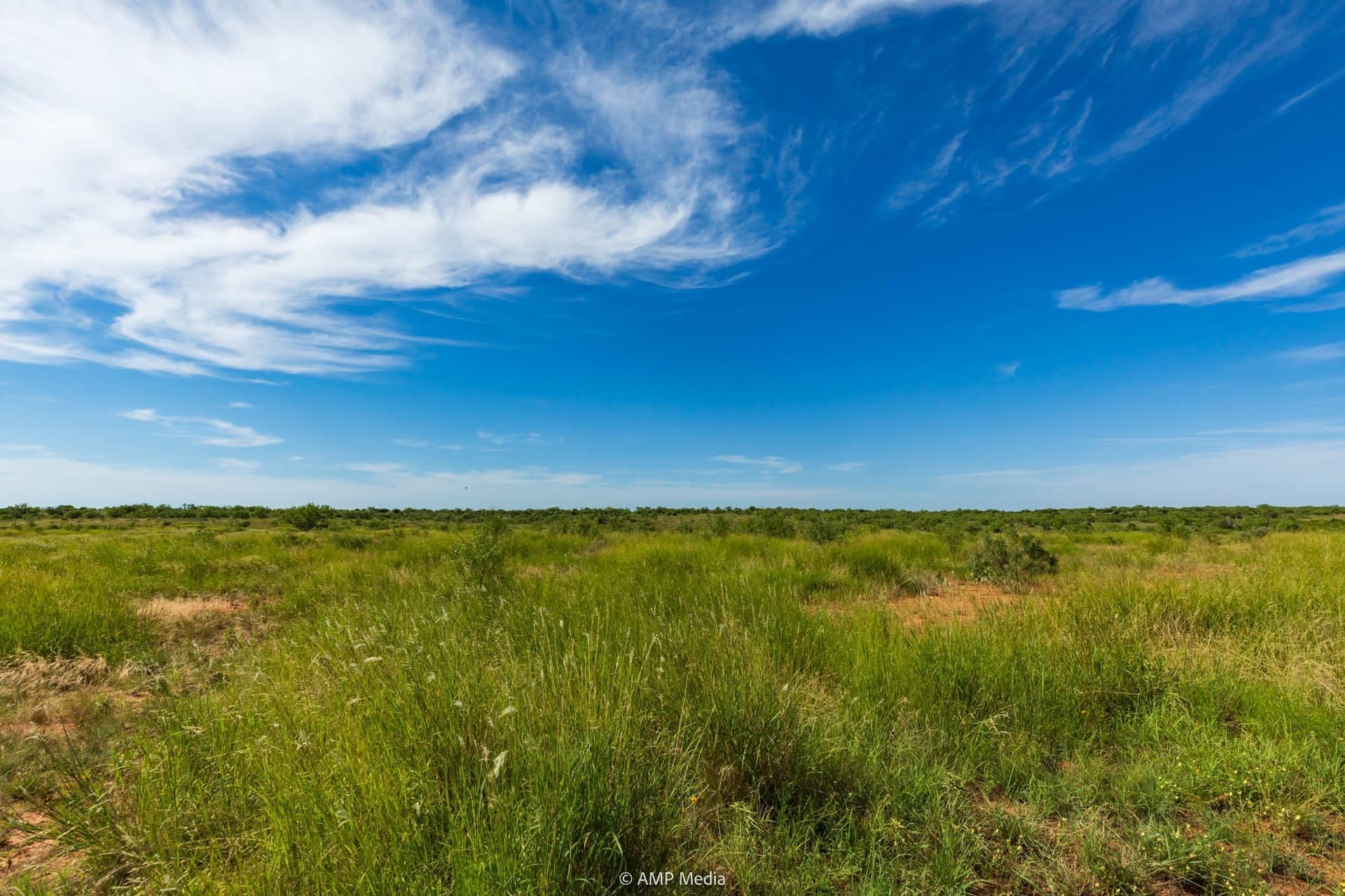320 acres in Stonewall County - photo 7
