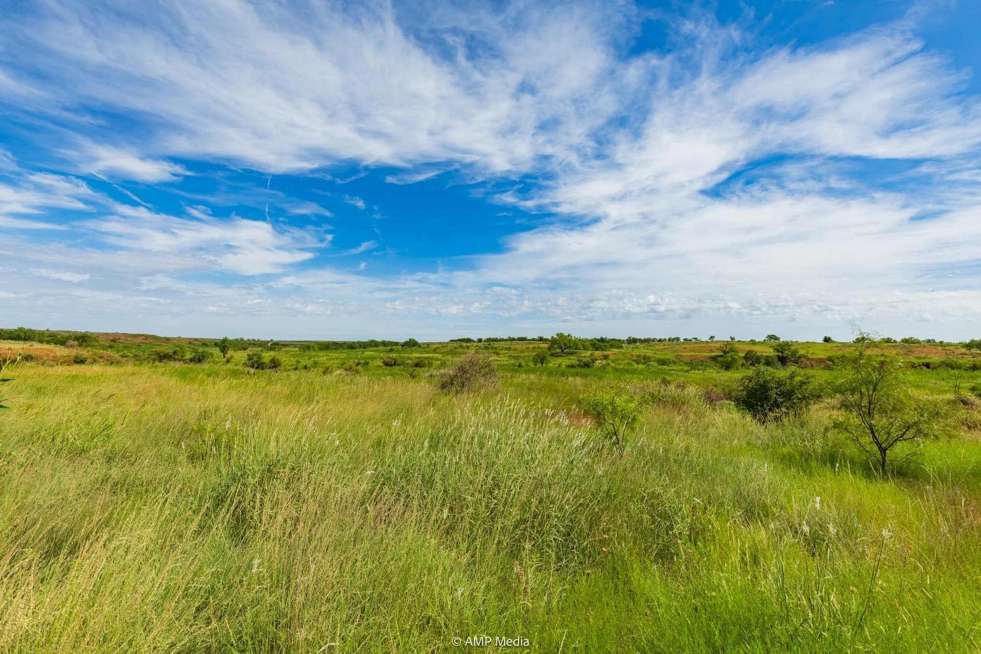 320 acres in Stonewall County - photo 19