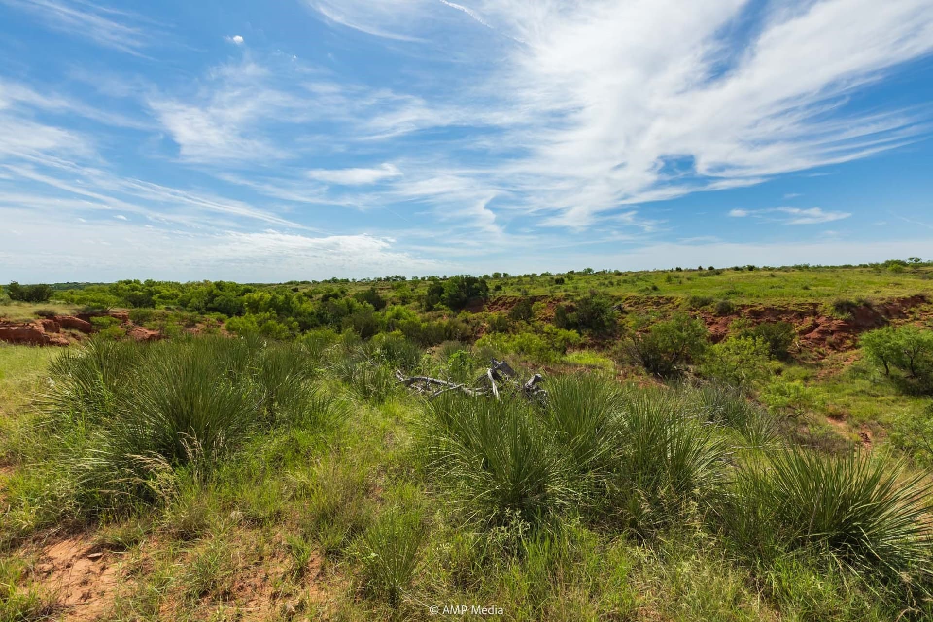 320 acres in Stonewall County - photo 14