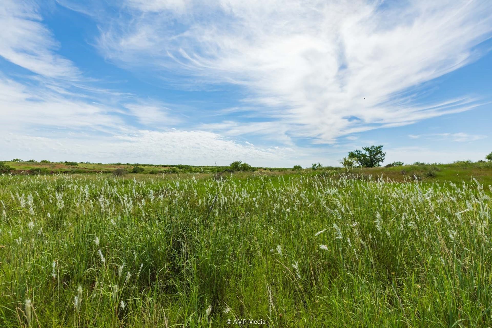 320 acres in Stonewall County - photo 24
