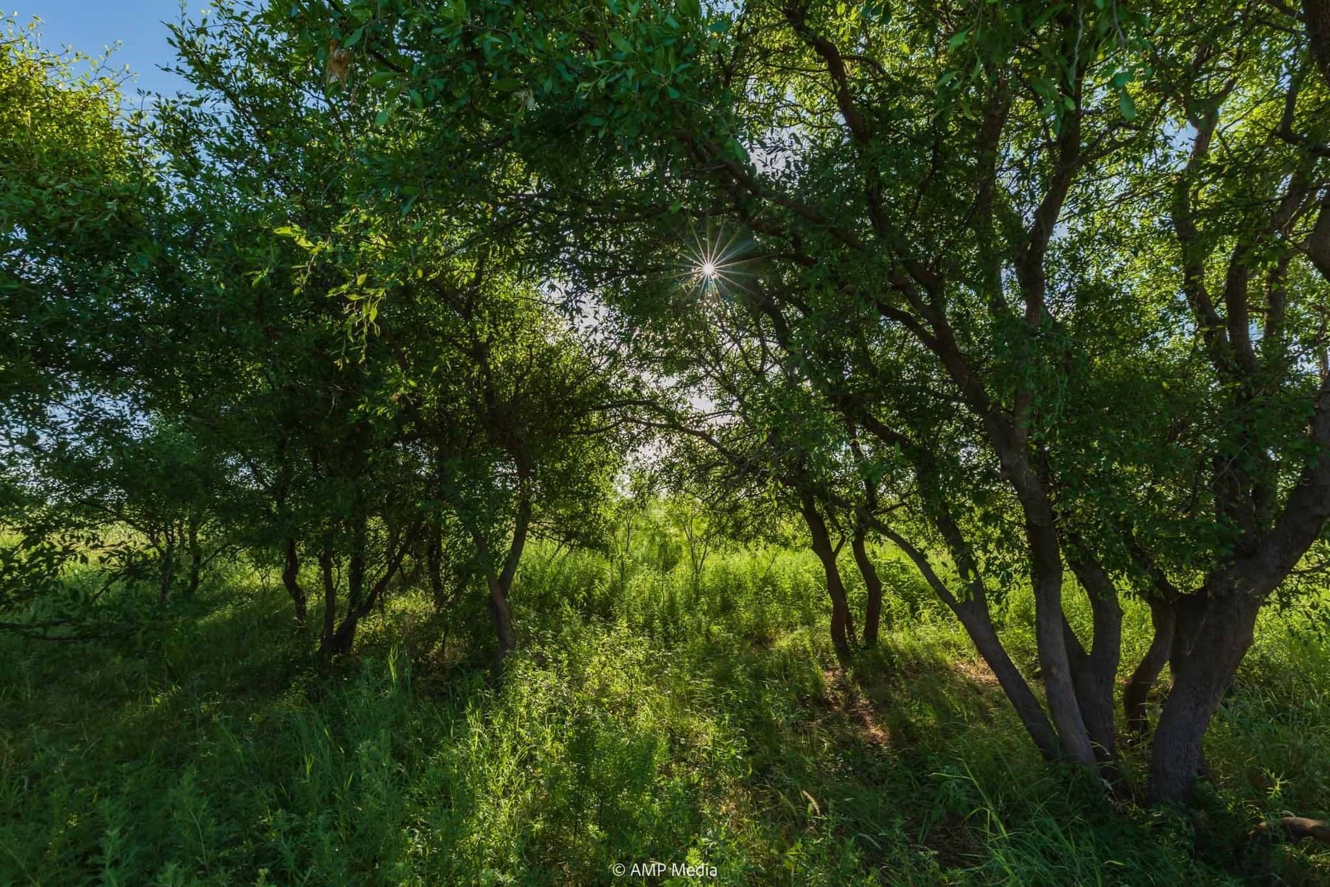 320 acres in Stonewall County - photo 26