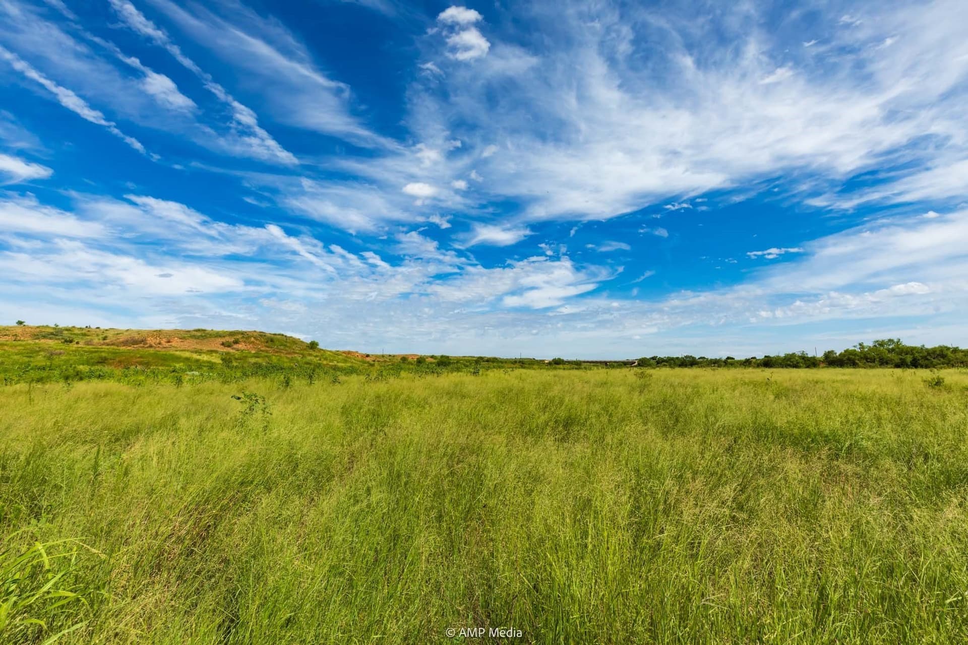 320 acres in Stonewall County - photo 25