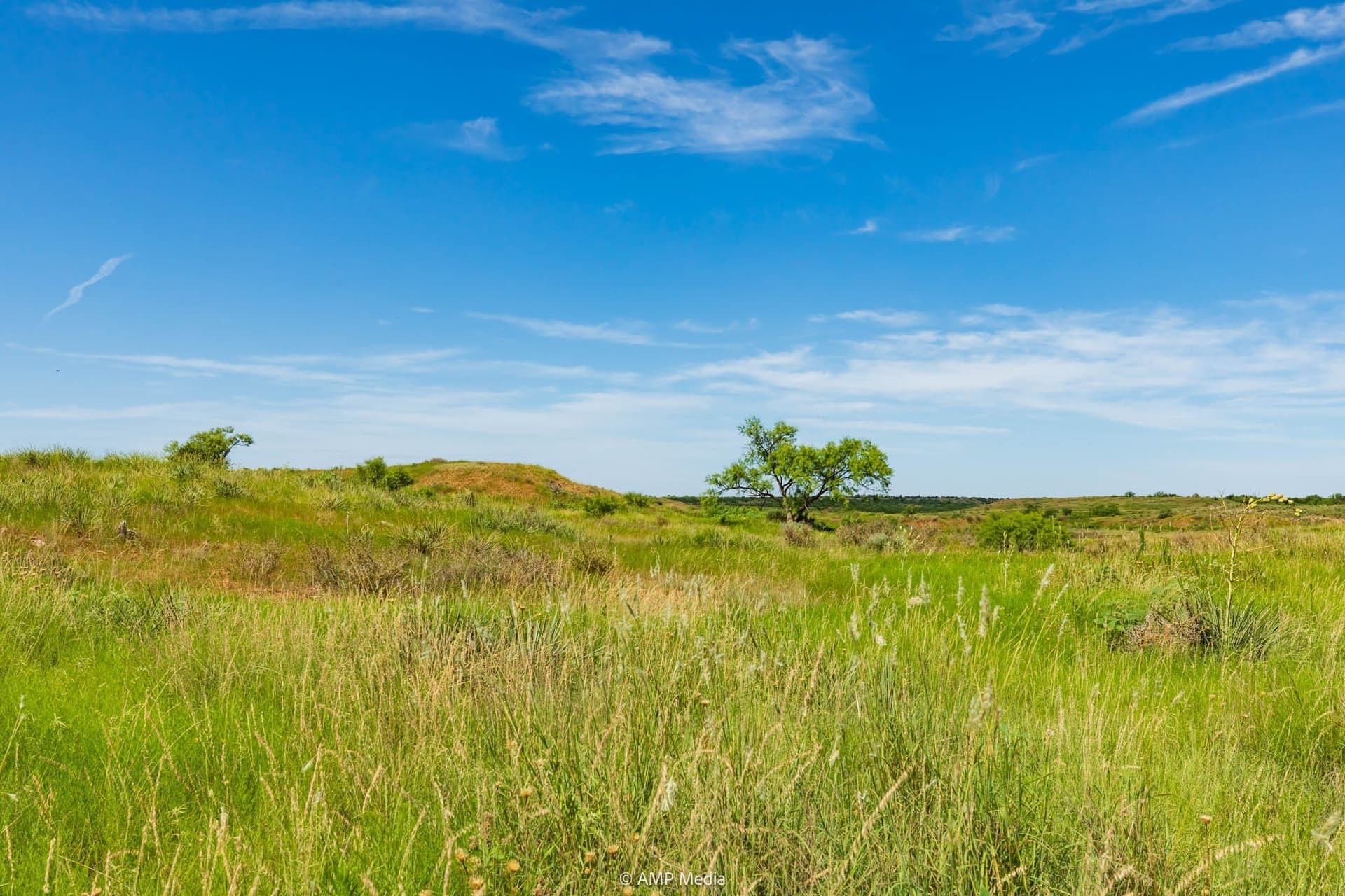 320 acres in Stonewall County - photo 21