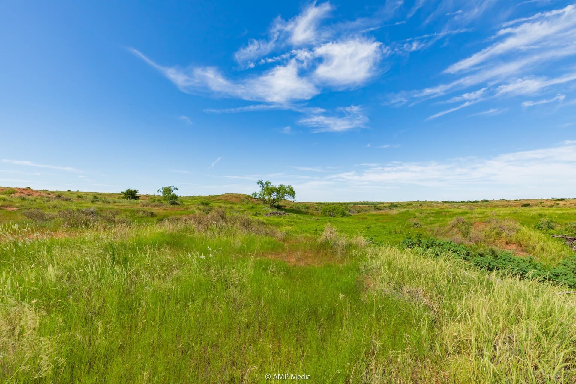 320 acres in Stonewall County - photo 23