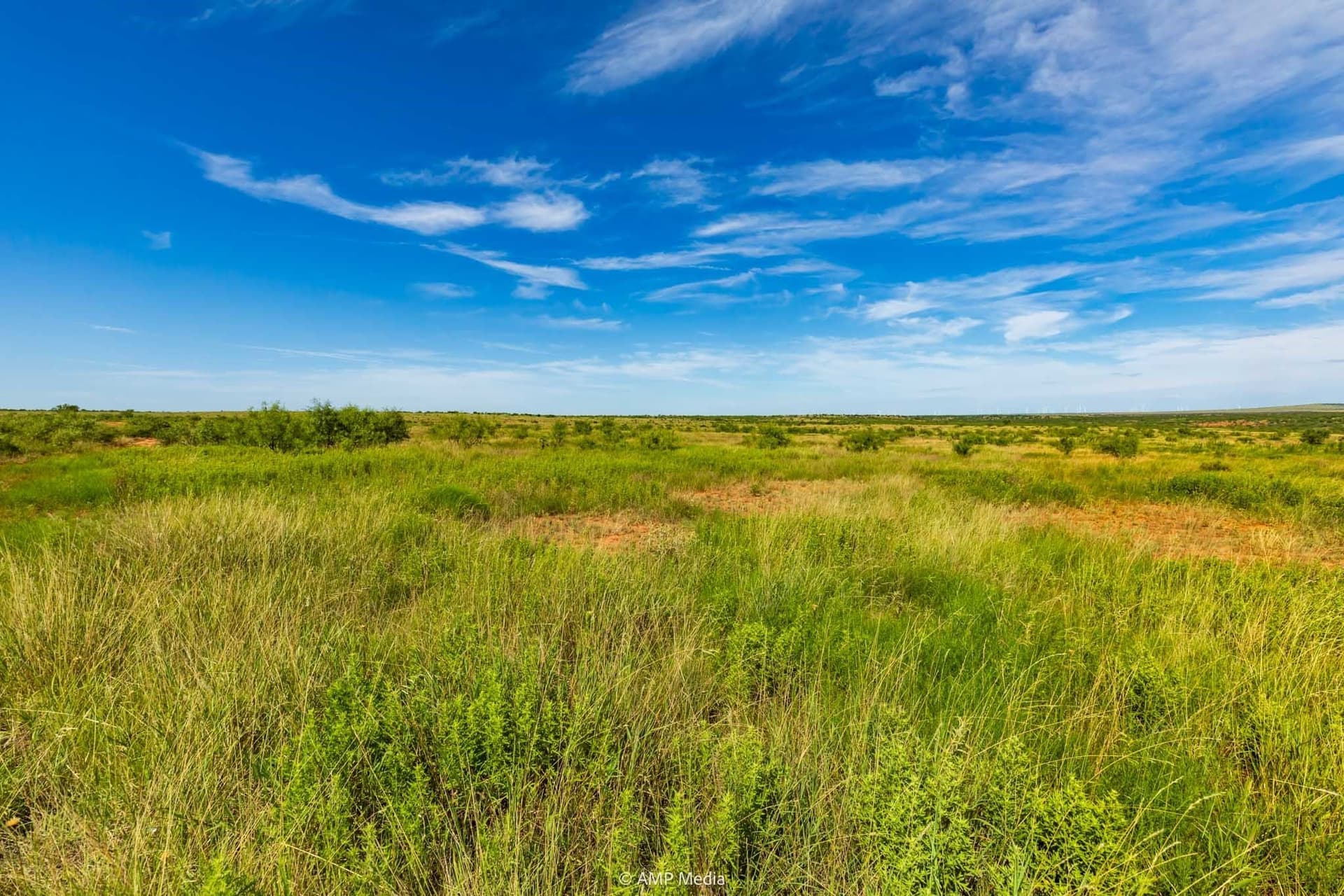 320 acres in Stonewall County - photo 13