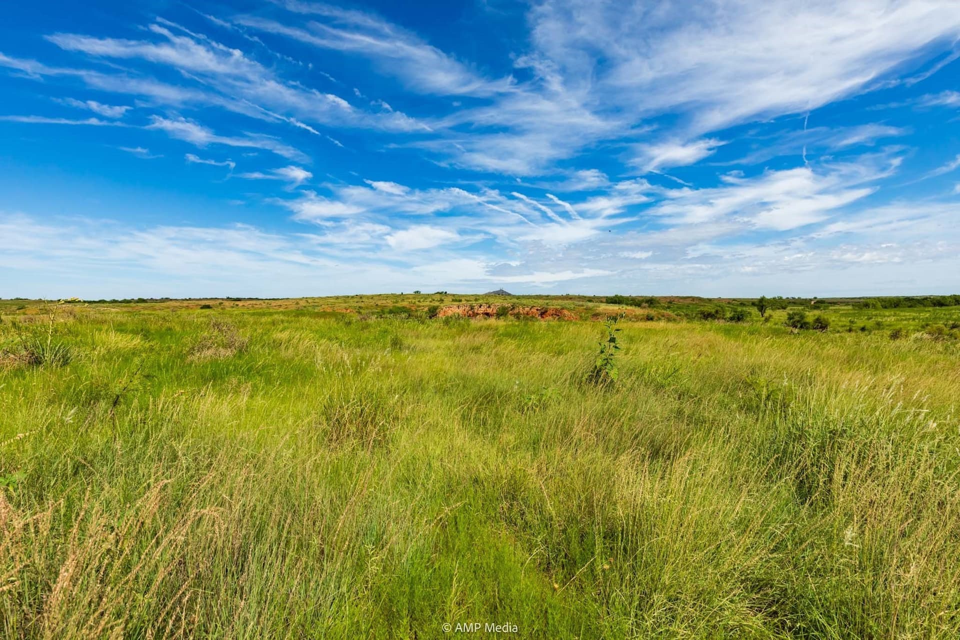 320 acres in Stonewall County - photo 20