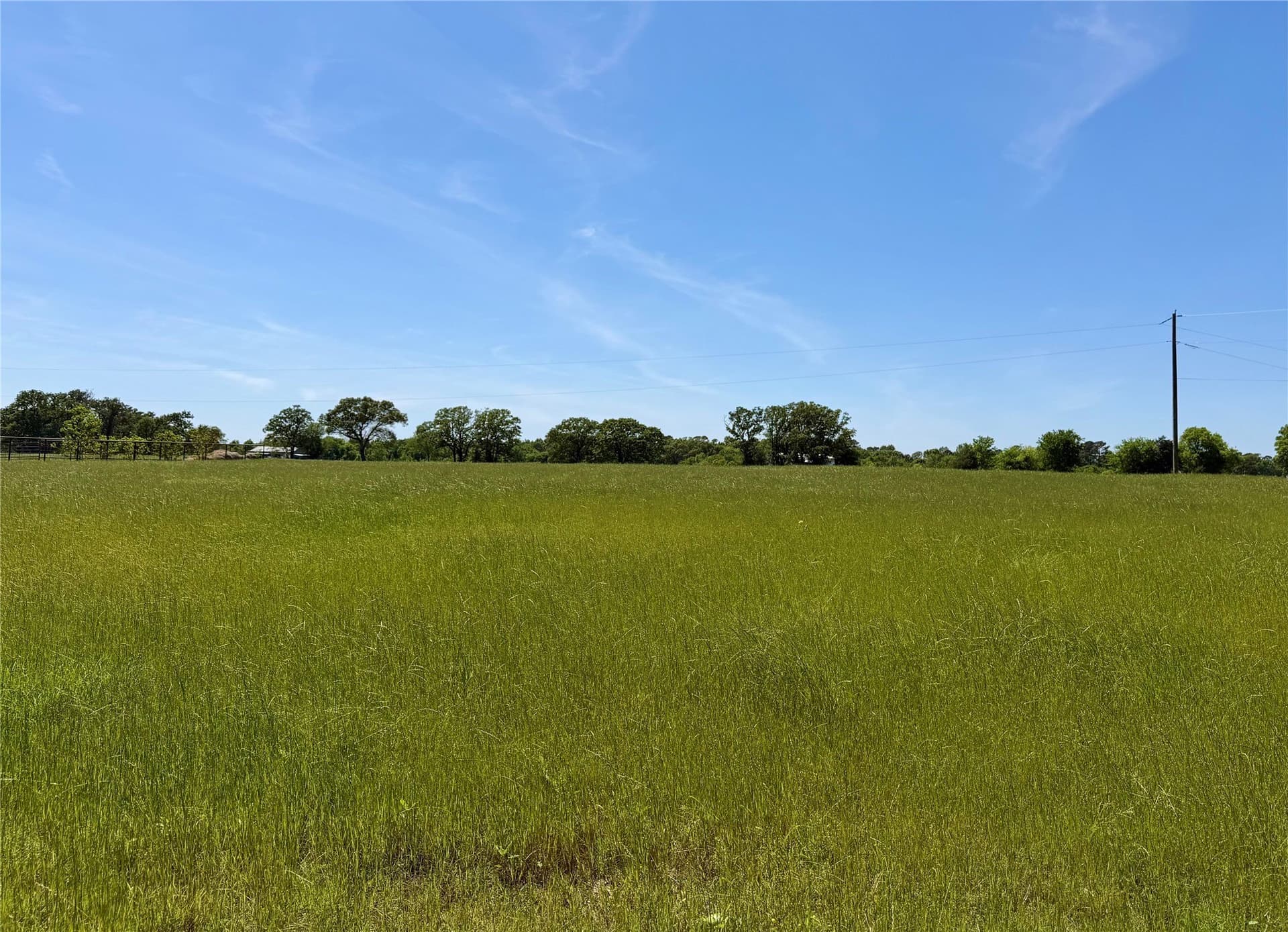 12.5 acres in Henderson County gallery image 4