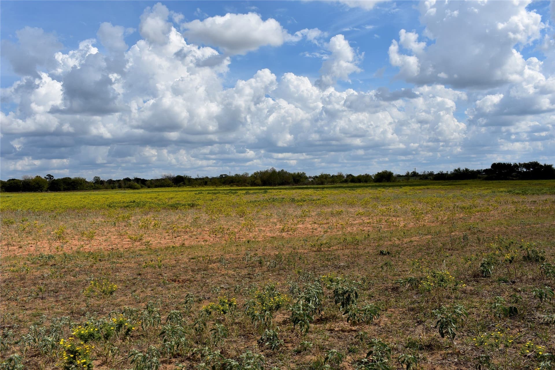 127 acres in Comanche County gallery image 2