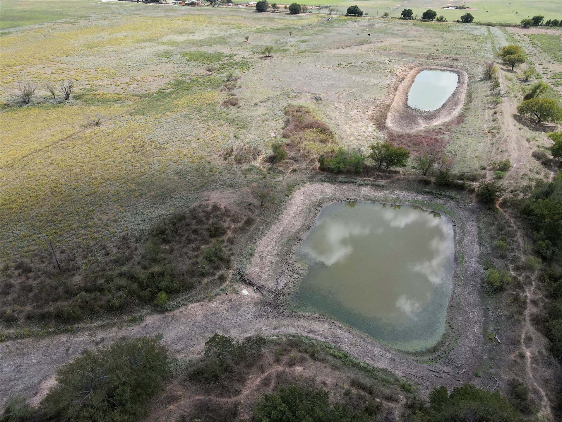 127 acres in Comanche County gallery image 3
