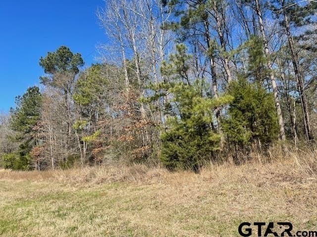 26.99 acres in Smith County gallery image 4