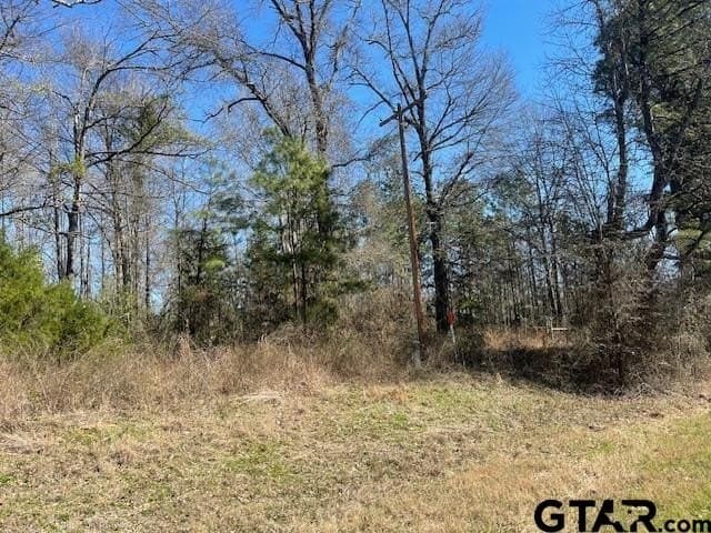 26.99 acres in Smith County gallery image 3