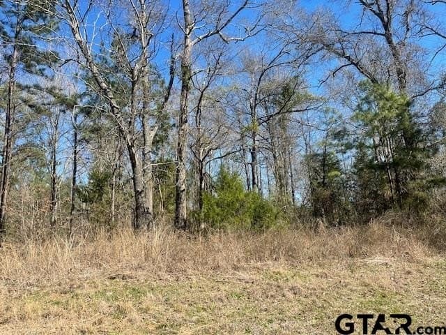 26.99 acres in Smith County gallery image 2