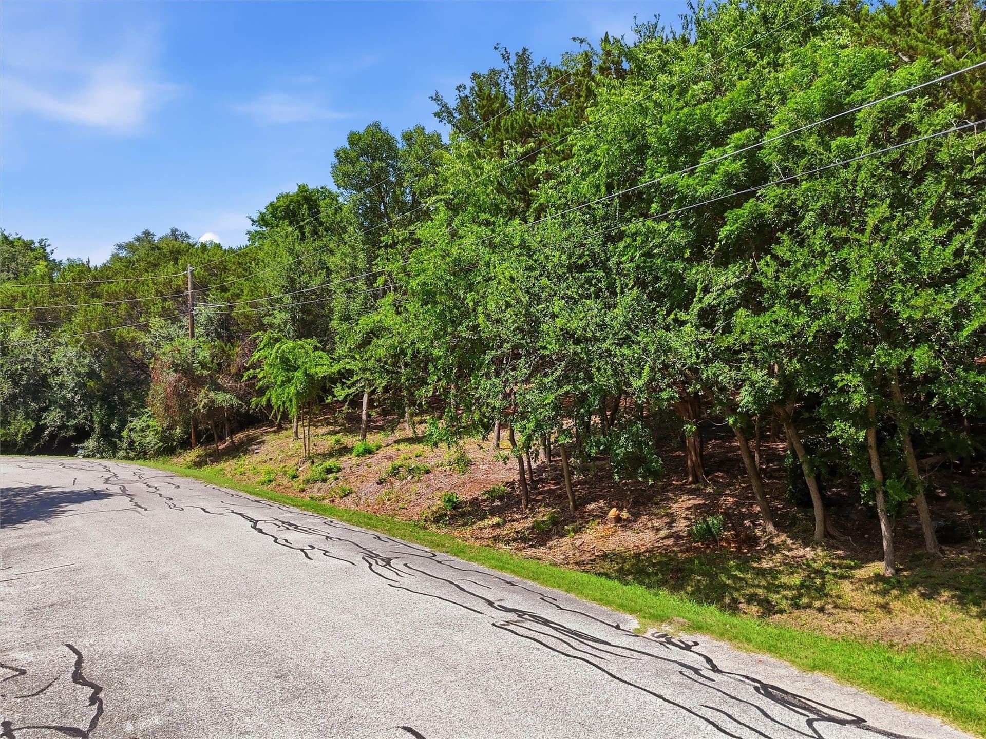 0.39 acres in Hood County - photo 10