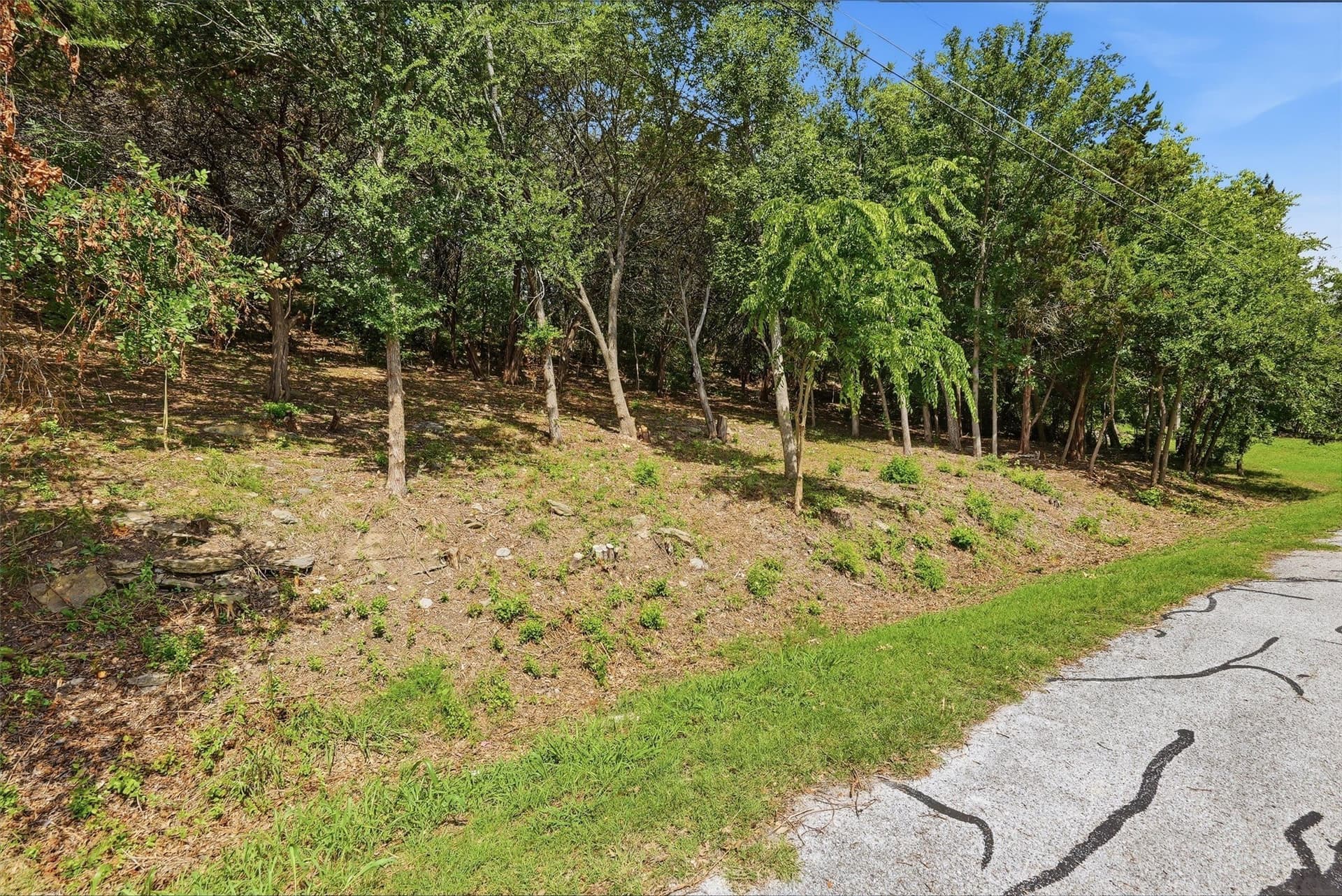 0.39 acres in Hood County - photo 6