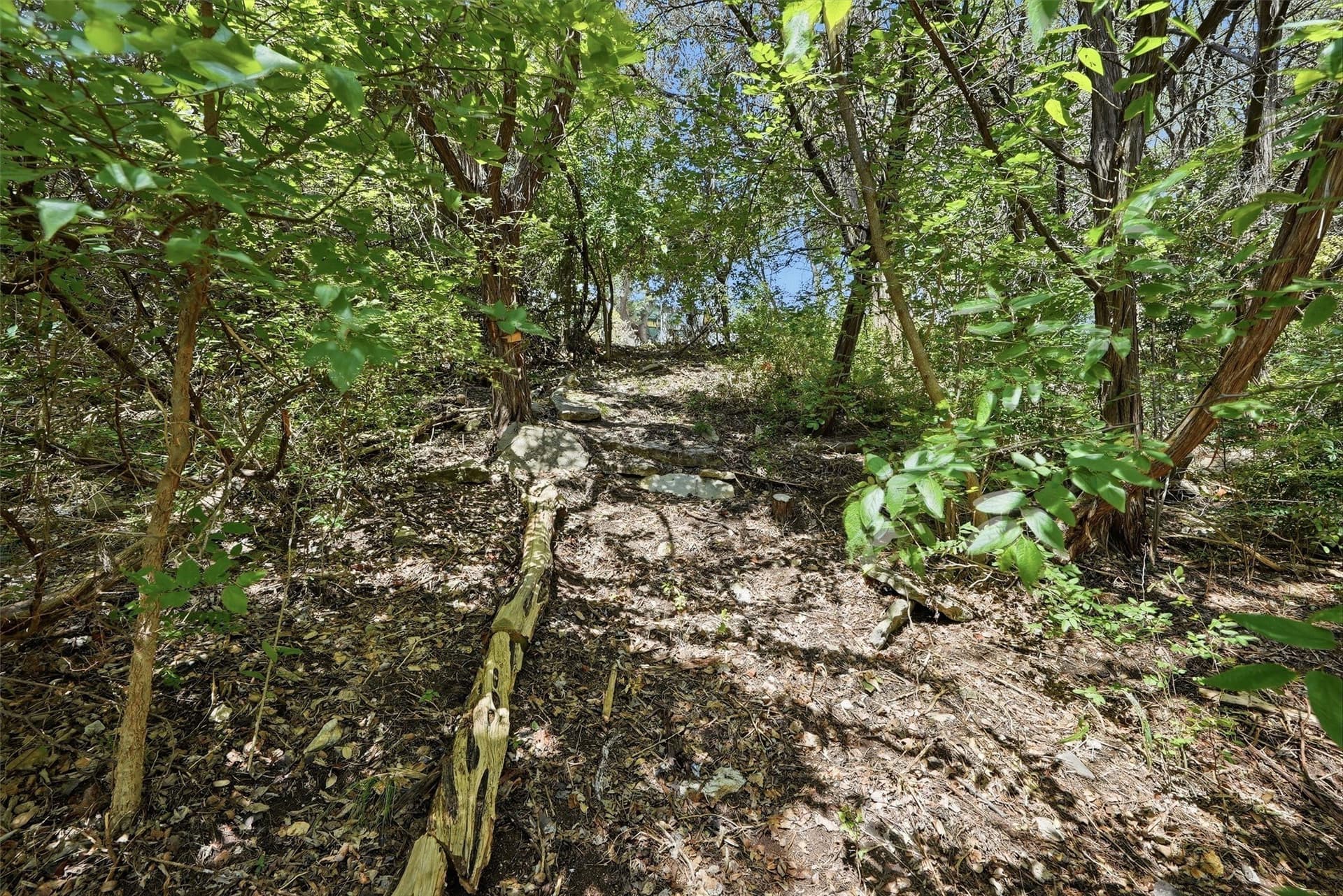 0.39 acres in Hood County - photo 7