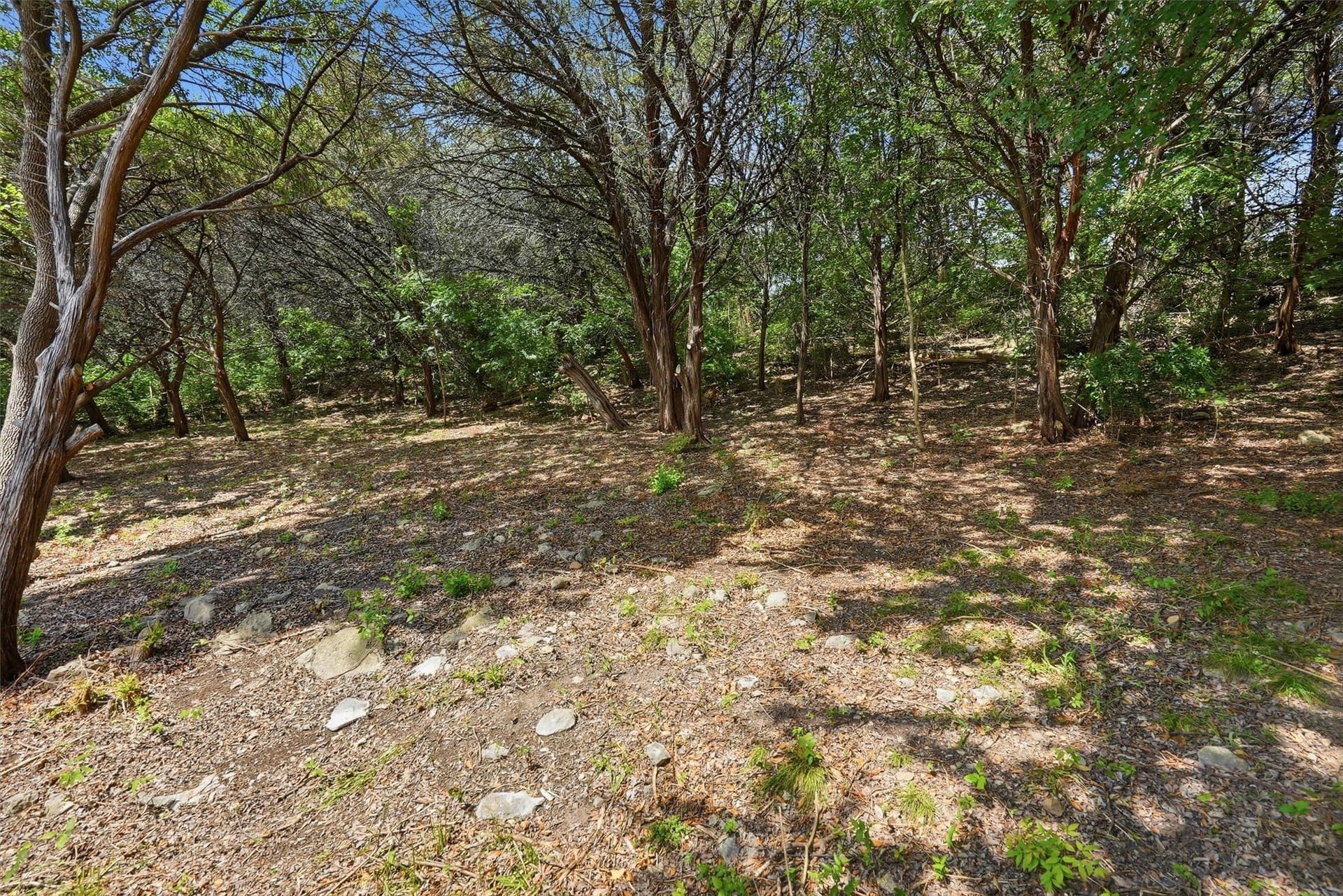 0.39 acres in Hood County gallery image 4