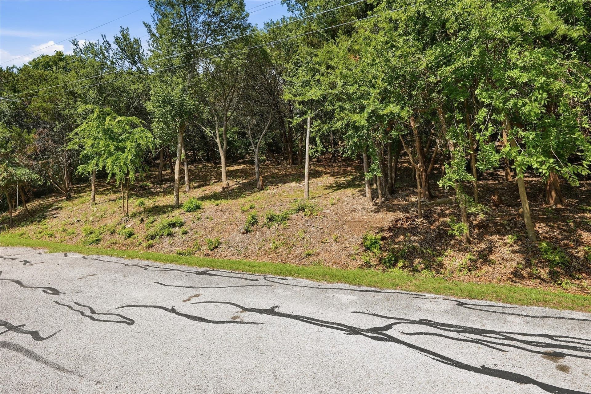 0.39 acres in Hood County featured view