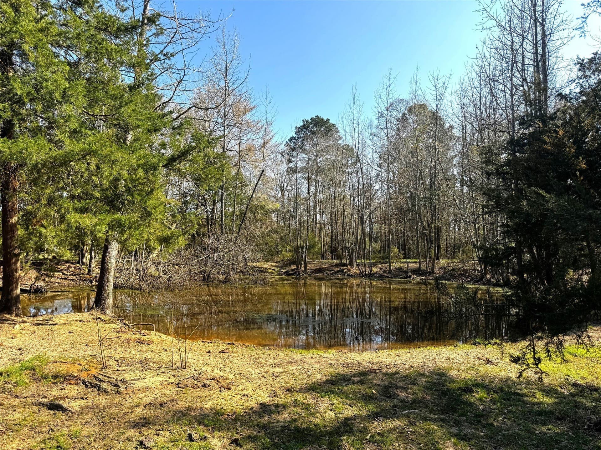 10.89 acres in Camp County - photo 24