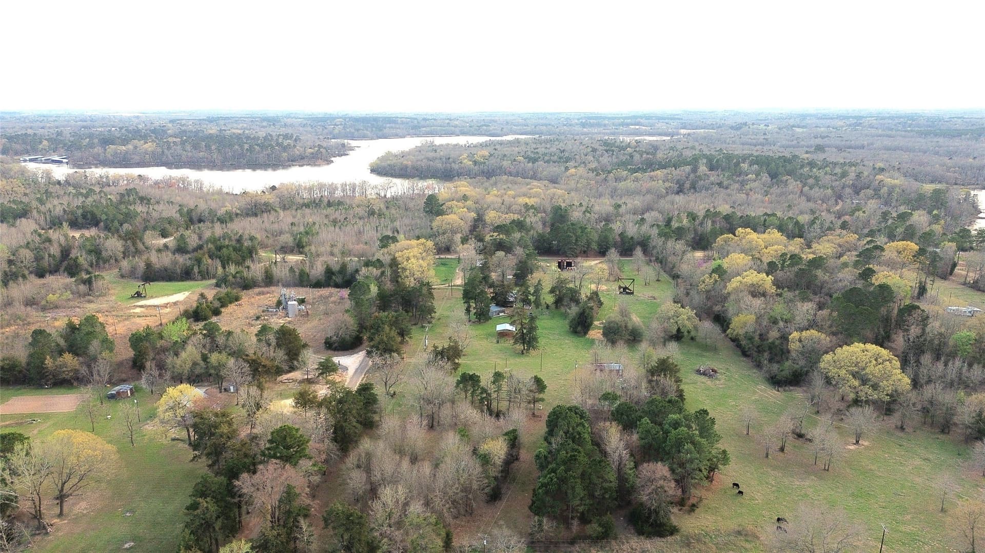 10.89 acres in Camp County - photo 9