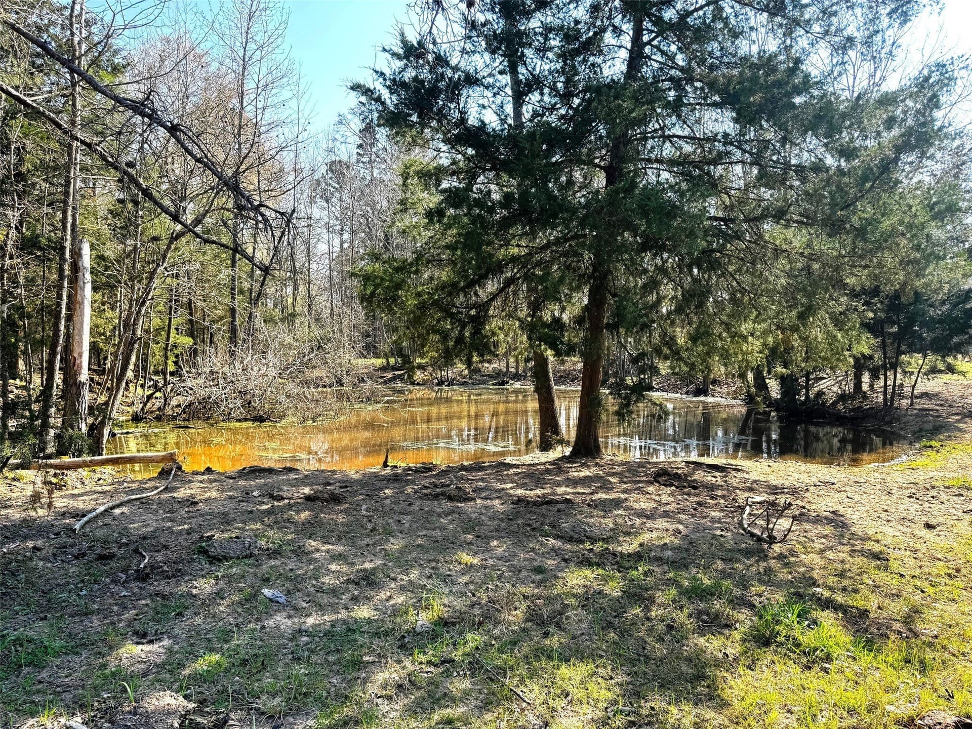 10.89 acres in Camp County - photo 23